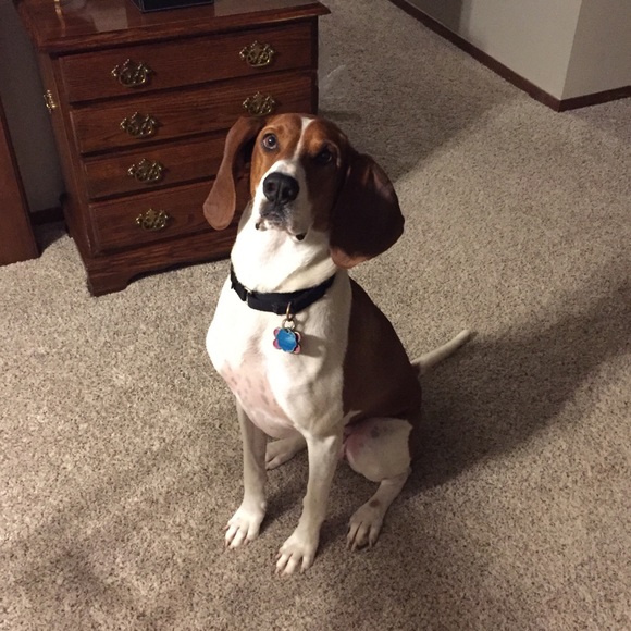 Meet your Posher, Lisa - Picture 3 of 3